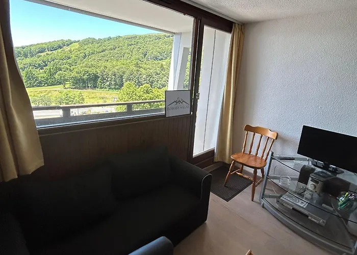 Appartement Rénové Au Cœur De Avec Balcon Et Parking Privé - Fr-1-814-81